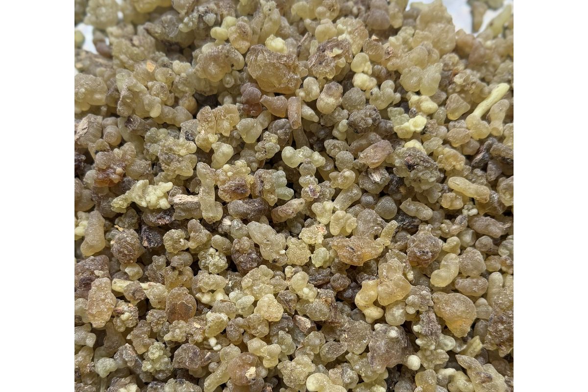 Ethiopian Frankincense Resin – Boswellia papyrifera from Etiopia